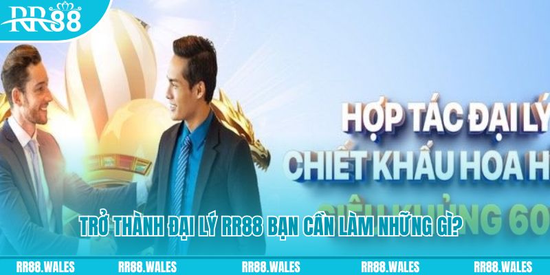 Trở thành đại lý RR88 bạn cần làm những gì?